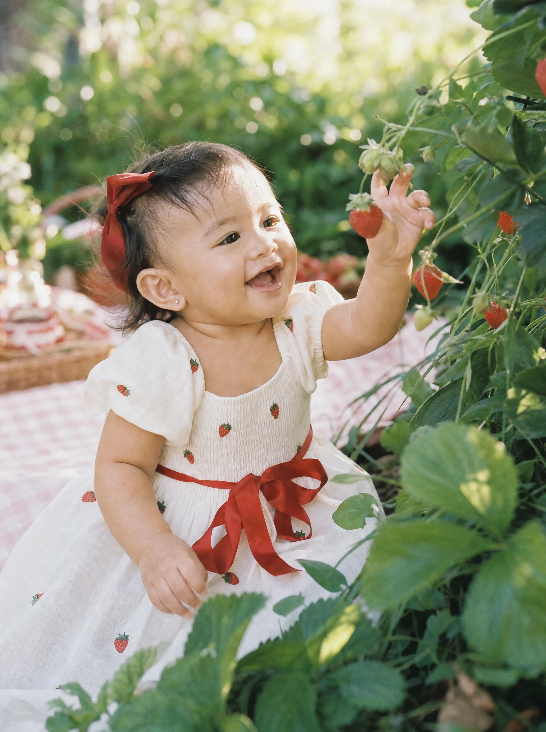 Mila reaching for a strawberry in the garden